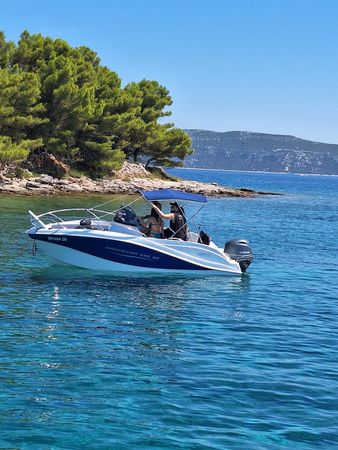 Barracuda 595 | 24
