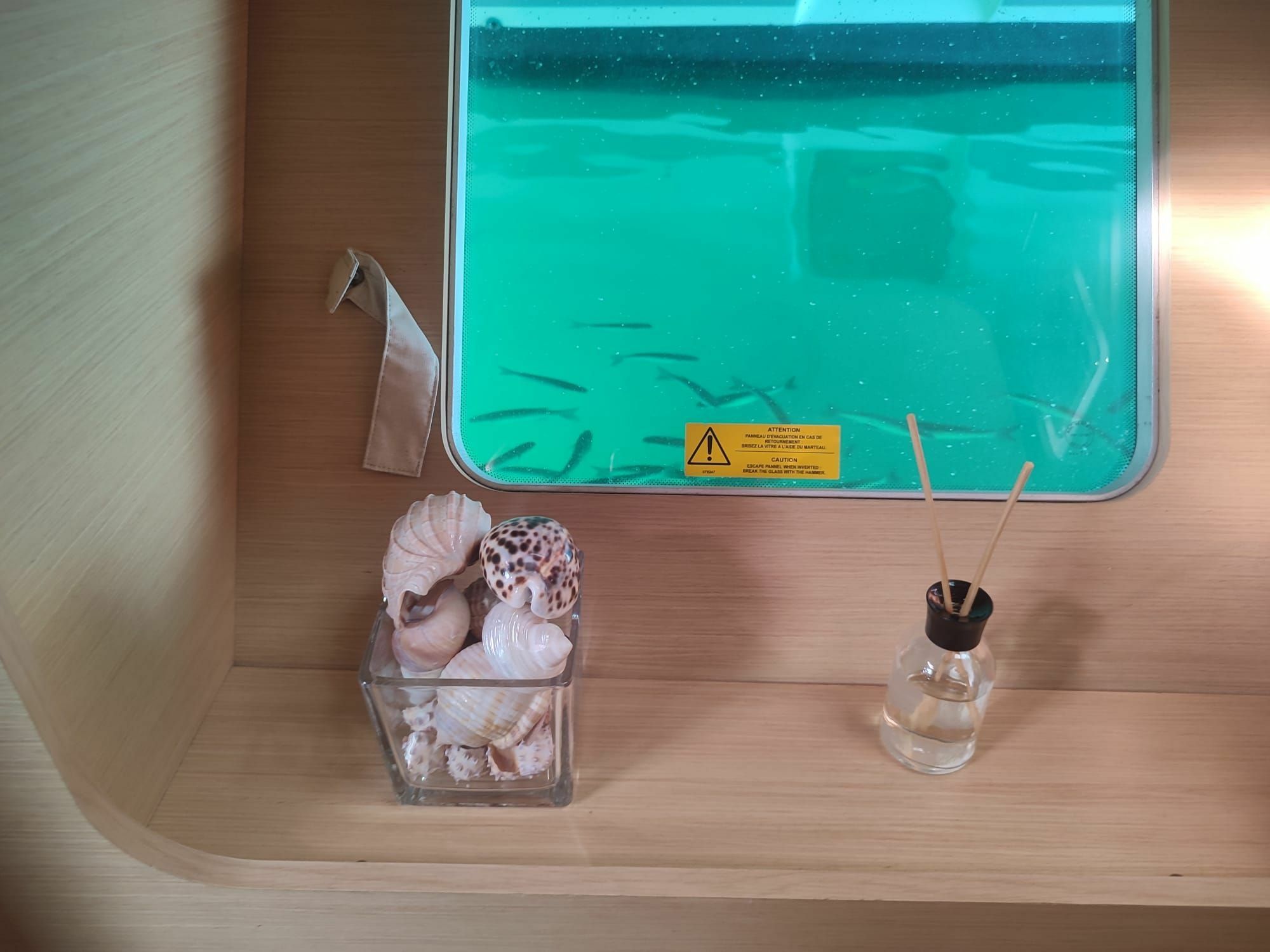 Lagoon 400 | Ocean Bloom