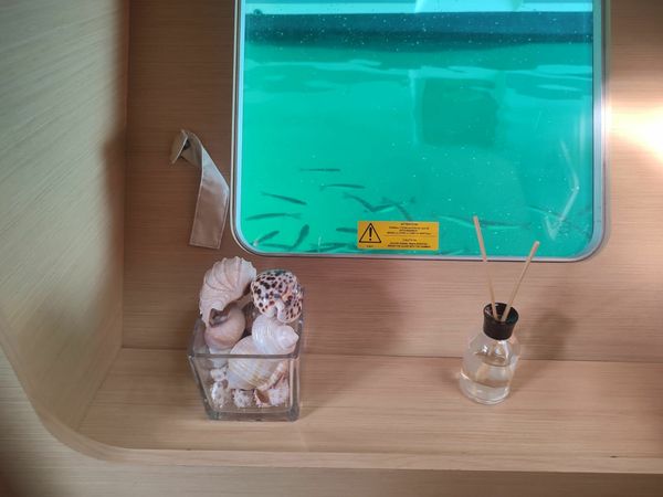 Lagoon 400 | Ocean Bloom