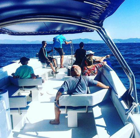 Quer 40 Pro | Stella Maris