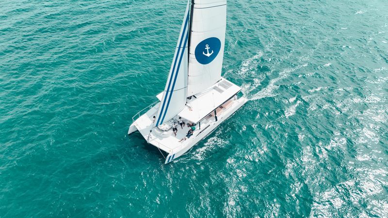 Custom Built 55 | Satisfaction