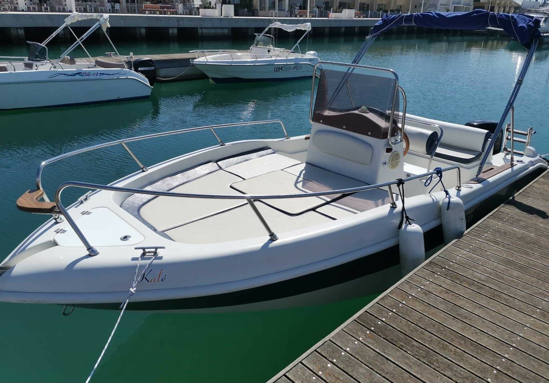 Blu and Blu Sharko 19 | Kale