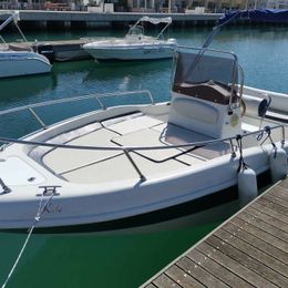 Blu and Blu Sharko 19 | Kale