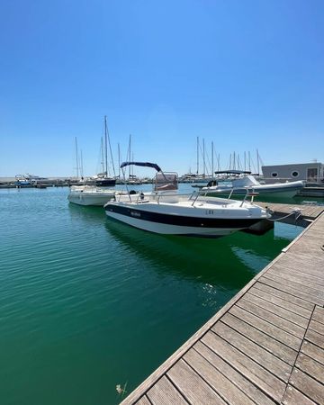 Blu and Blu Sharko 19 | Kale