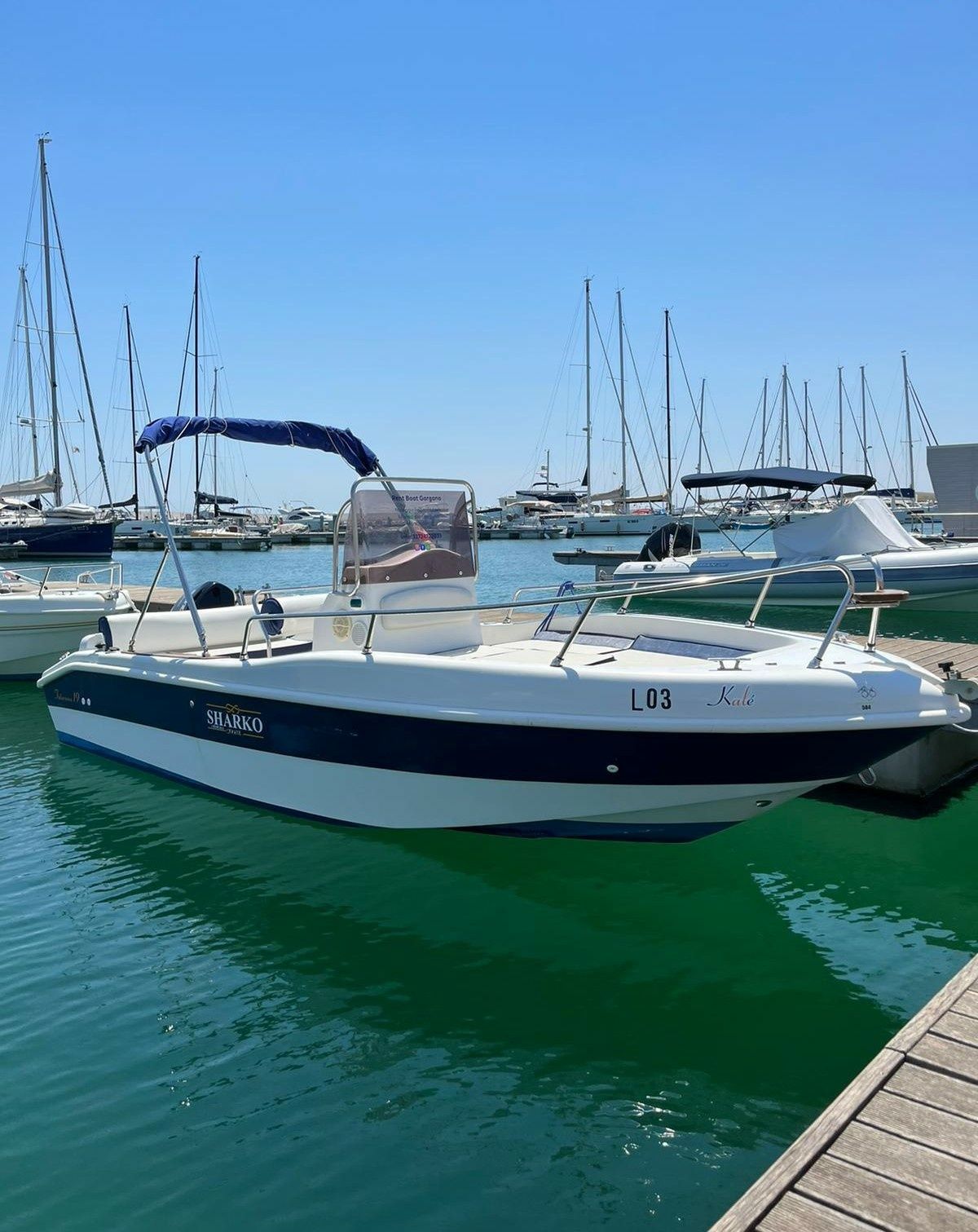Blu and Blu Sharko 19 | Kale