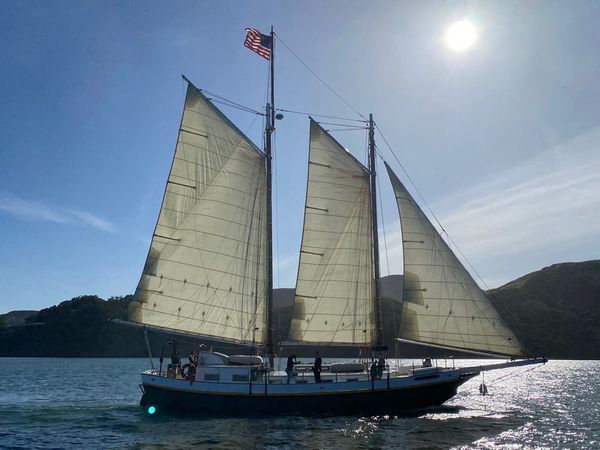 Custom Built 72 | Gas Light