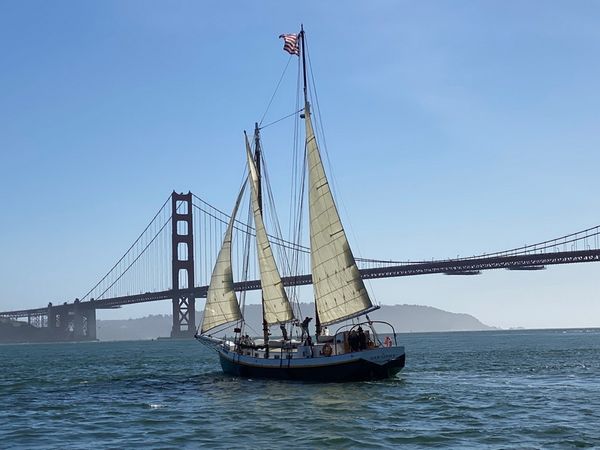 Custom Built 72 | Gas Light