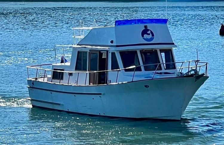 CHB Trawler 35 | Blue Skies