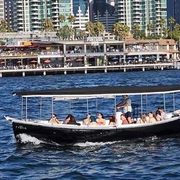 Halter Marine MK11 | Raven