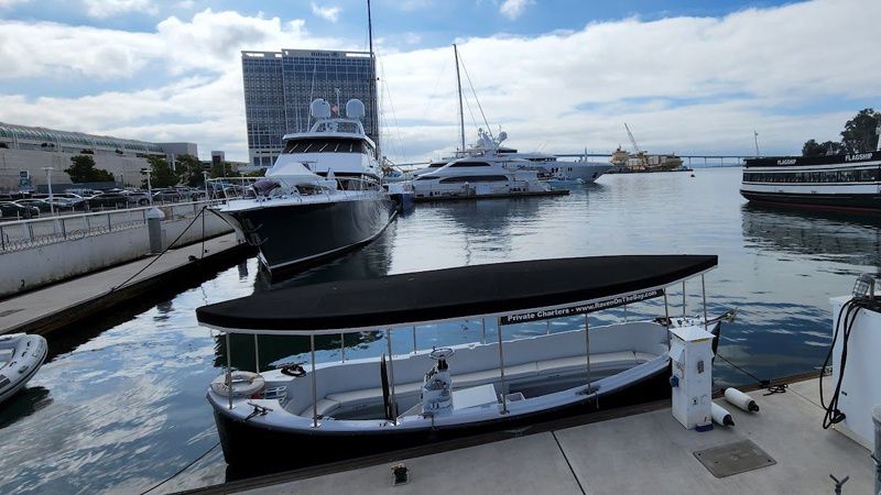 Halter Marine MK11 | Raven