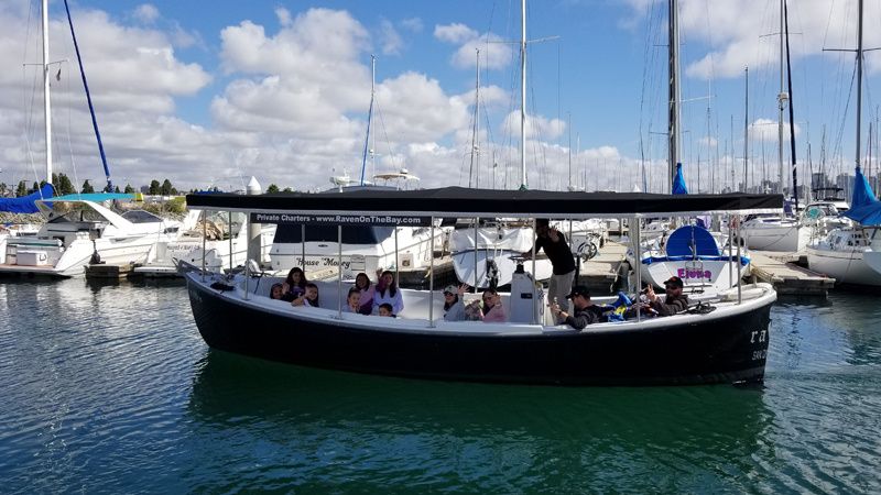 Halter Marine MK11 | Raven