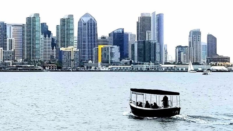 Halter Marine MK11 | Raven