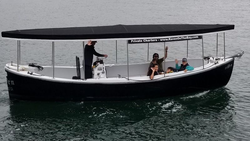 Halter Marine MK11 | Raven