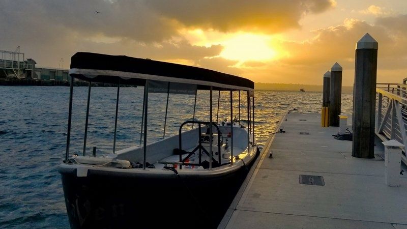 Halter Marine MK11 | Raven