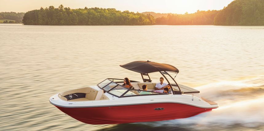 Sea Ray 230 | Czerwony