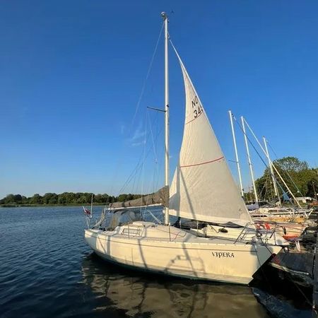 Albin 28 | Vipera