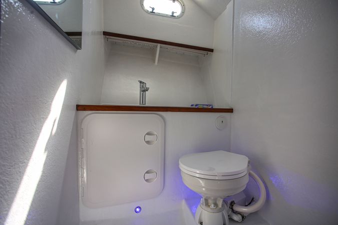 Bertram 36 | Pirateia