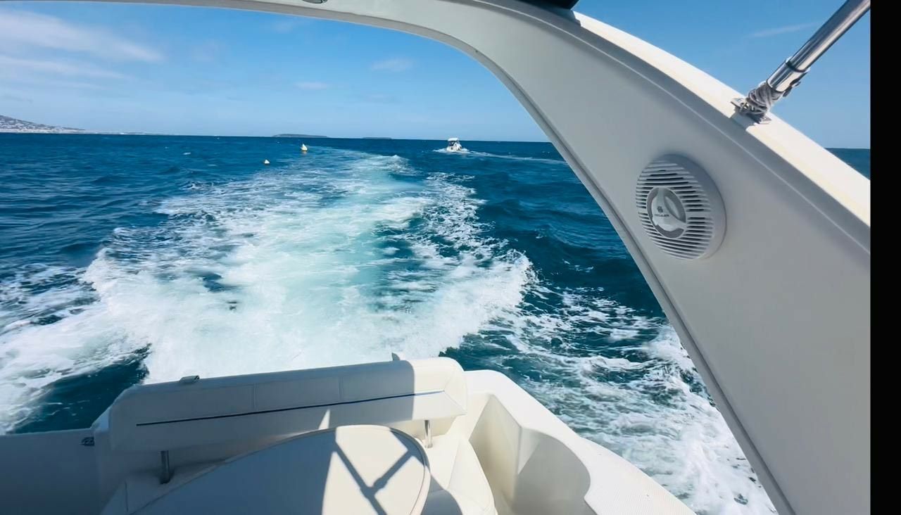 Bayliner 285 | Ibiza