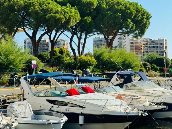 Bayliner 285 | Ibiza