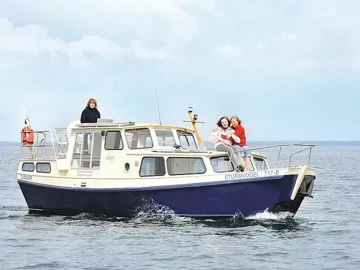 Tjonger 8.8 | 93-1 Malchin