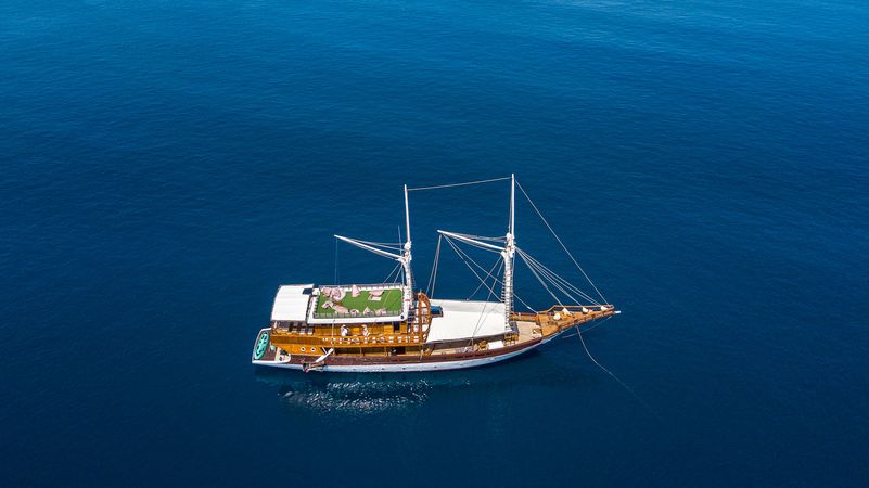 Custom Built 98 | Helena