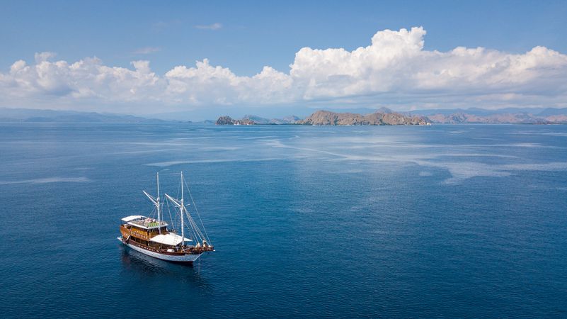 Custom Built 98 | Helena