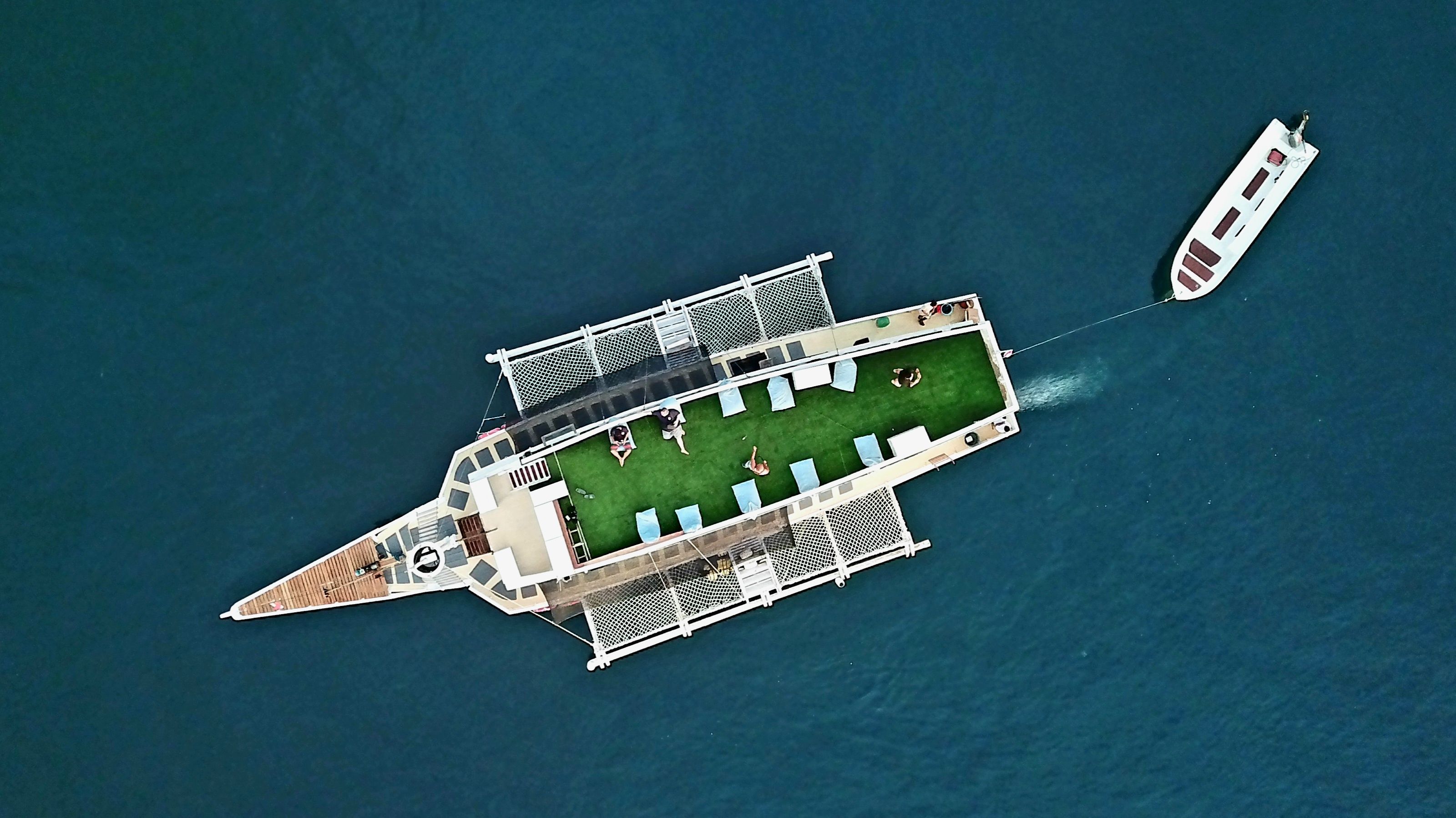 Custom Built 79 | Jessie