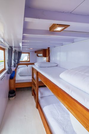 Custom Built 79 | Jessie