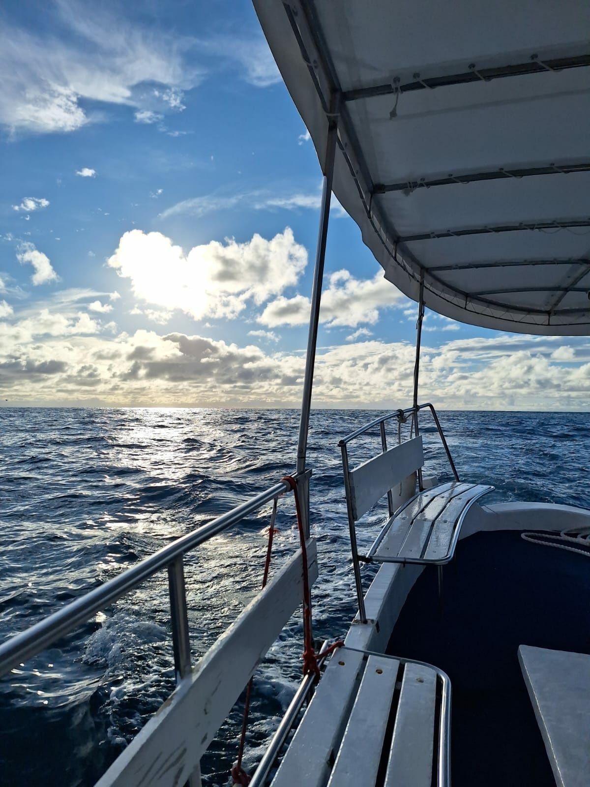 Custom Built 30 | Berekin