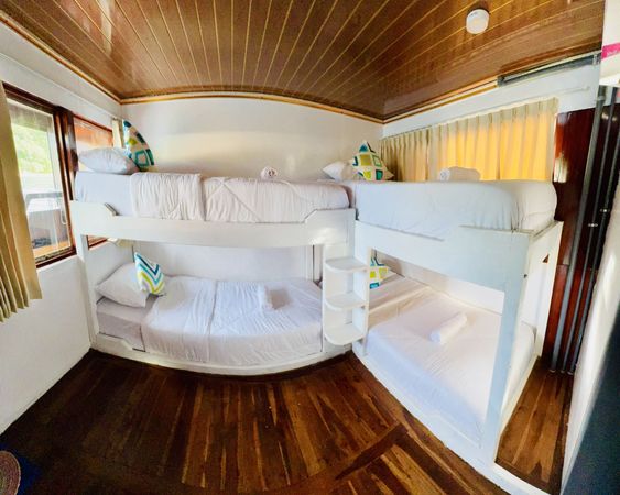 Custom Built 108 | Princess Nabila