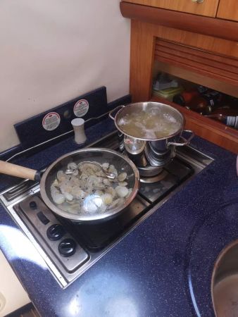 Cranchi Zaffiro 34 | Lulliga