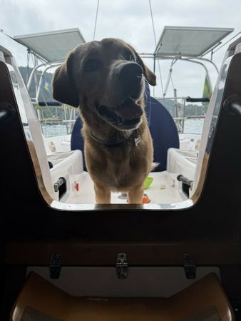 Delta 45 | M.C. Daud