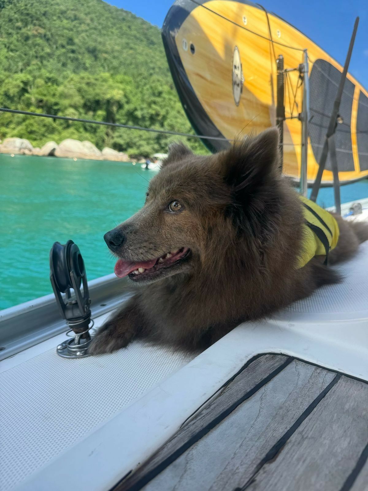 Delta 45 | M.C. Daud