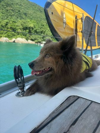 Delta 45 | M.C. Daud