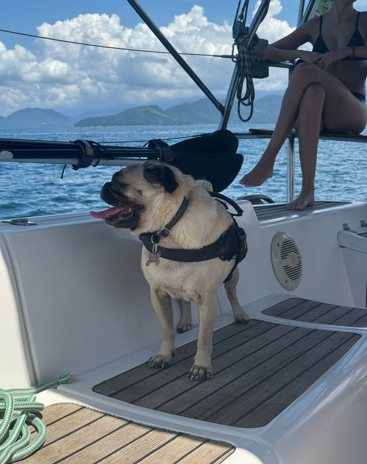 Delta 45 | M.C. Daud