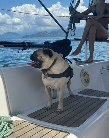 Delta 45 | M.C. Daud