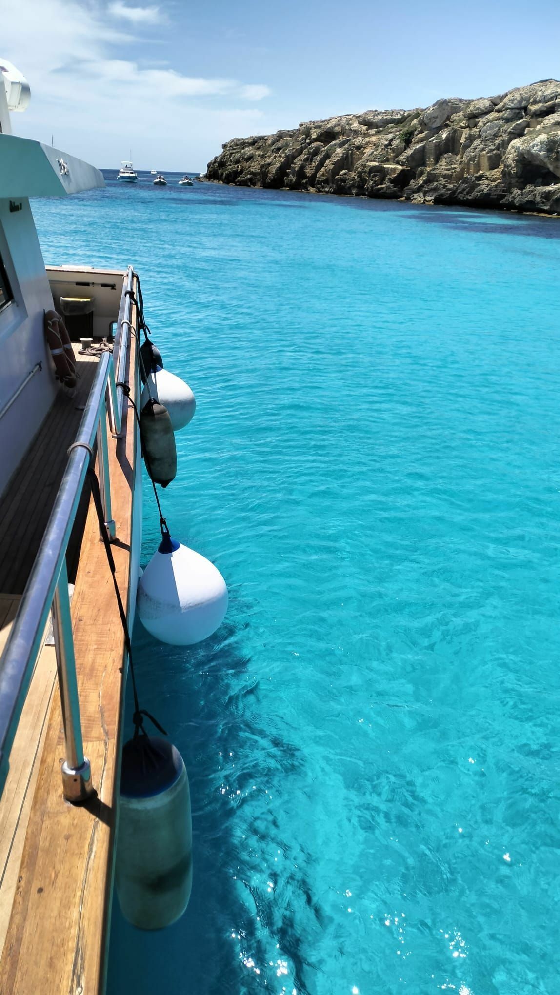 Custom Built 66 | Shalimar 4