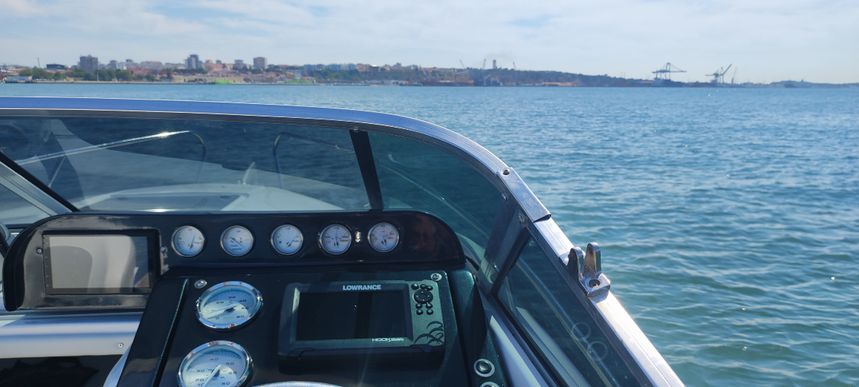 Lema Sabinal | Fenix