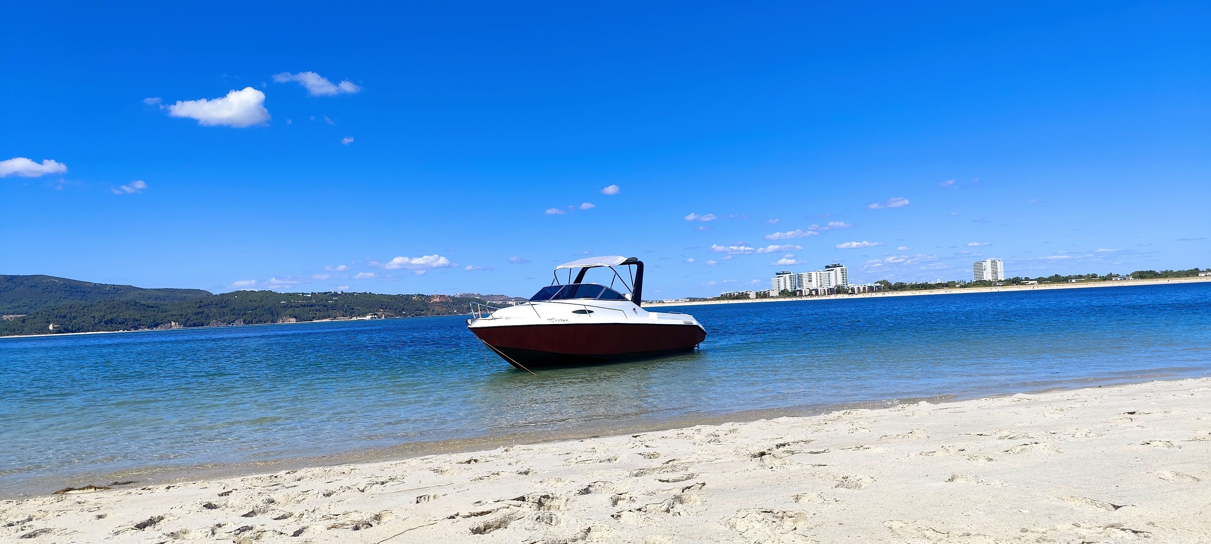 Lema Sabinal | Fenix