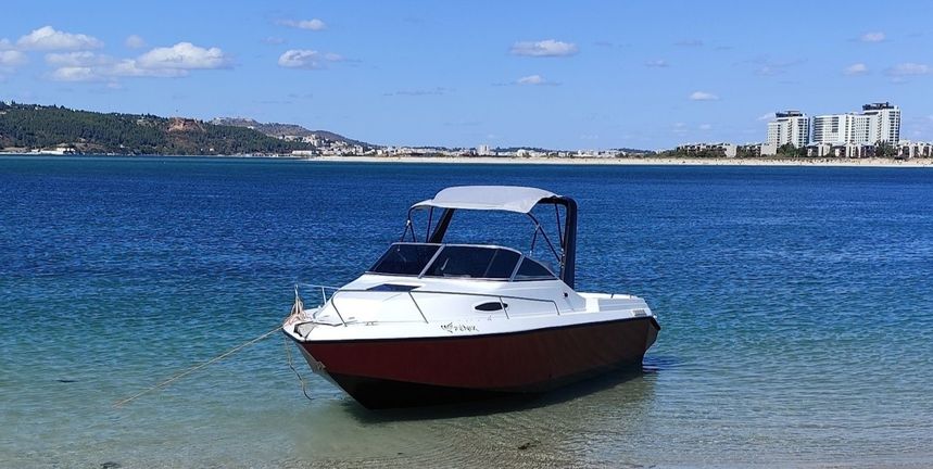 Lema Sabinal | Fenix