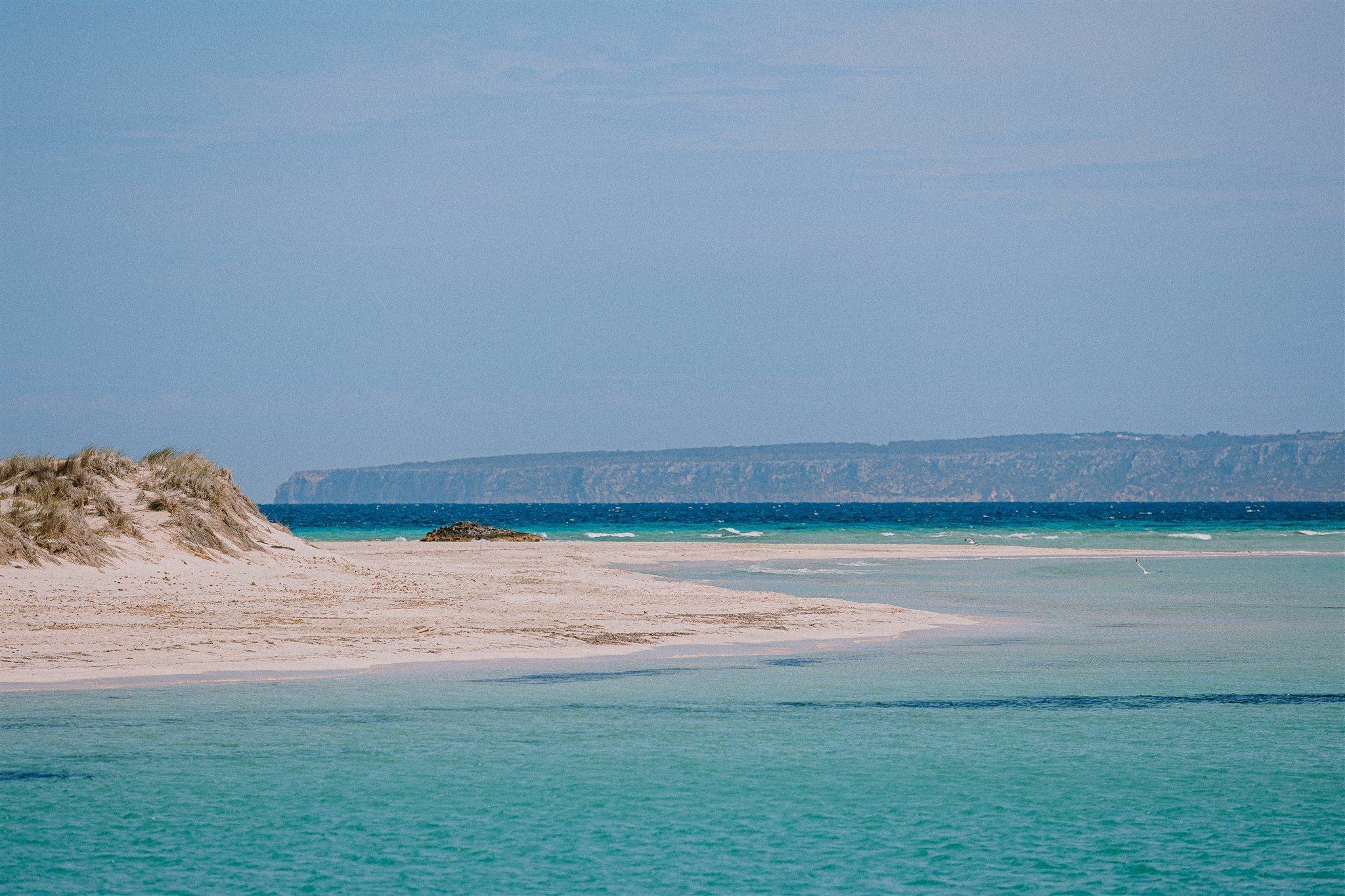 Llaut 36 | Garroveta