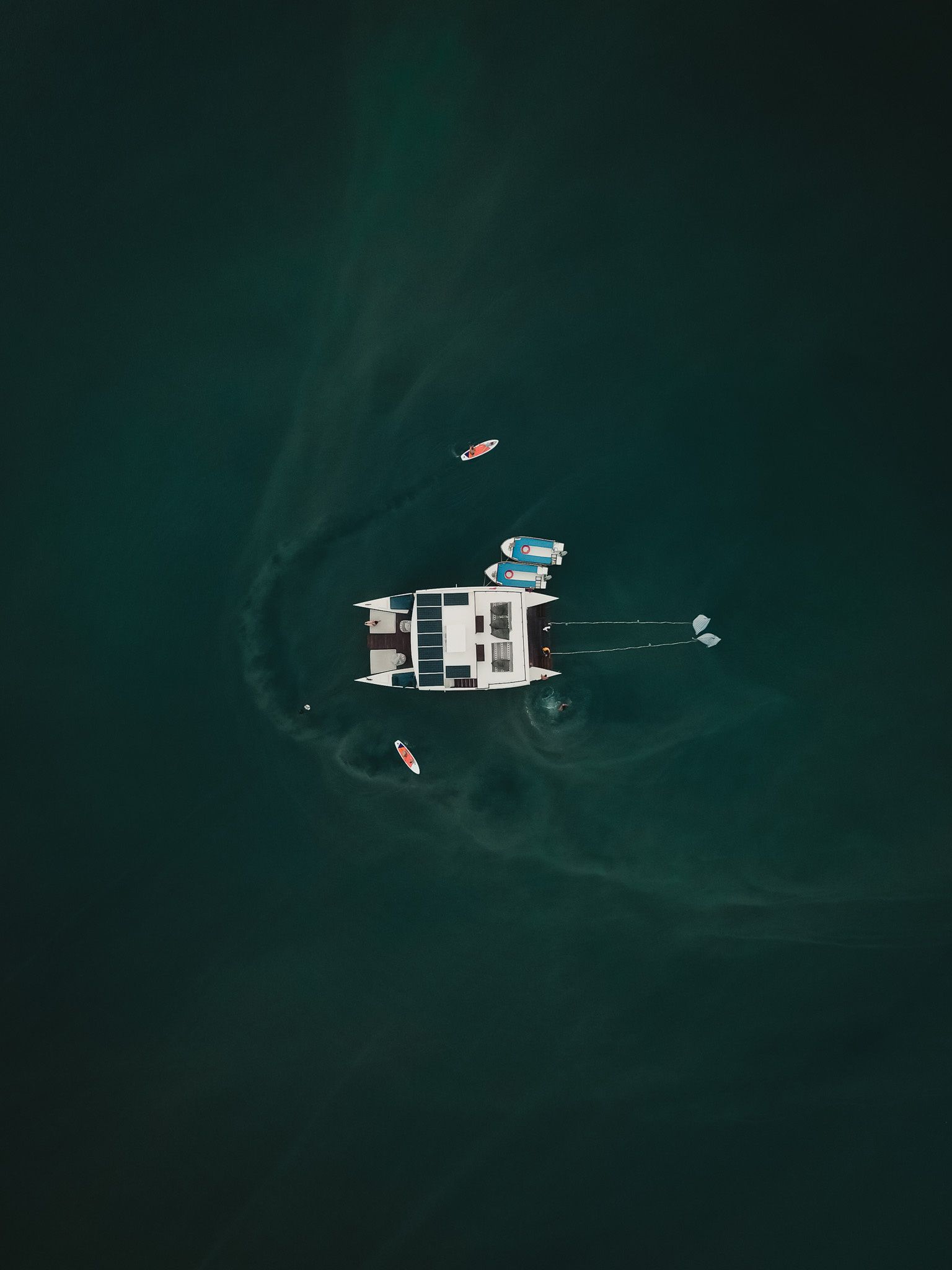 Custom Built 54 | Utopia