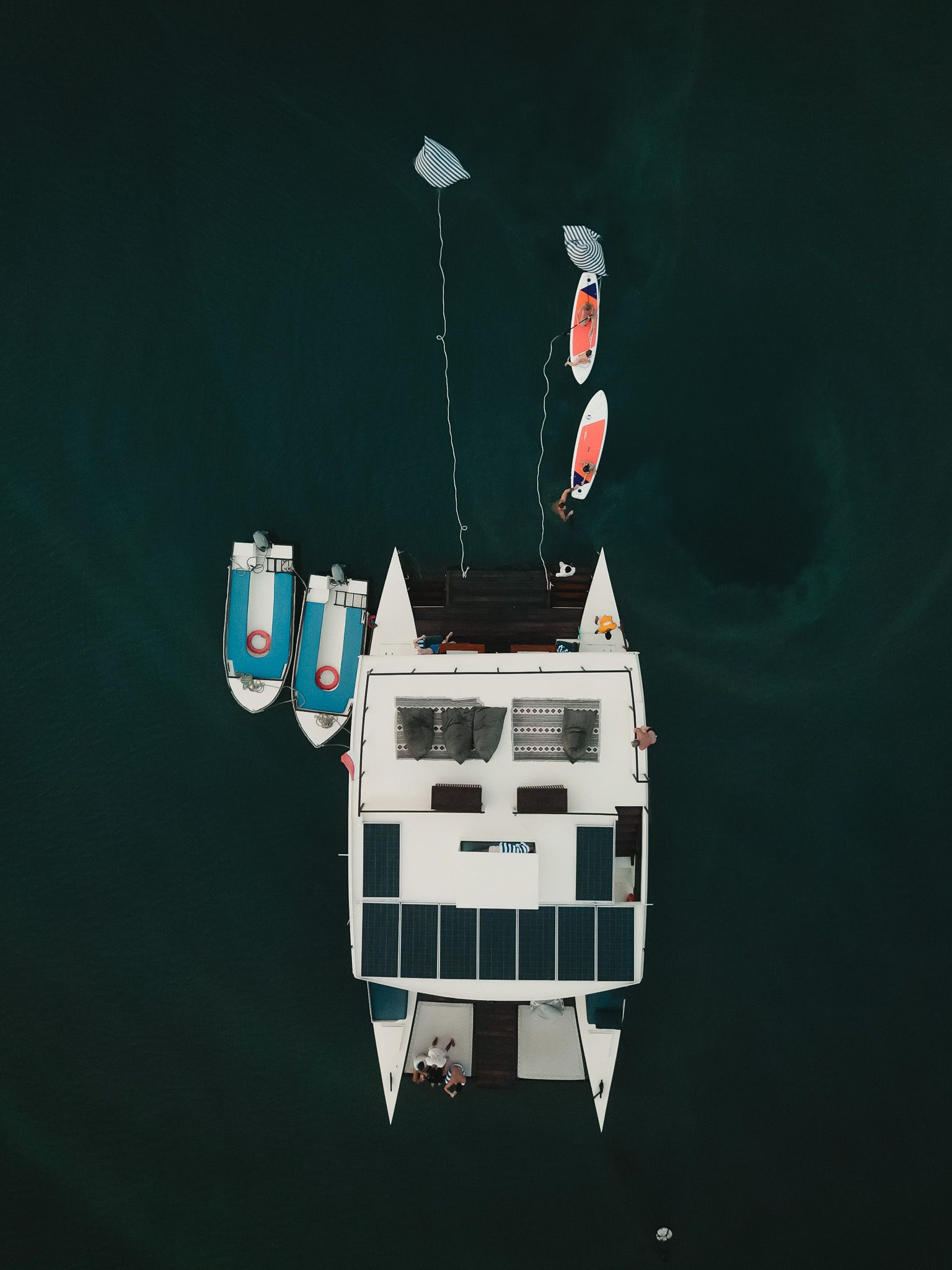 Custom Built 54 | Utopia