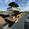 Cobra Yachts Maestro 42 | Goldjunge