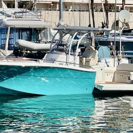 White Shark 280 | 25