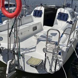 Antila 24.4 | Vipera