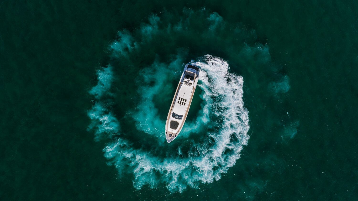 Leopard 101 | Venture