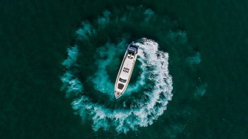 Leopard 101 | Venture