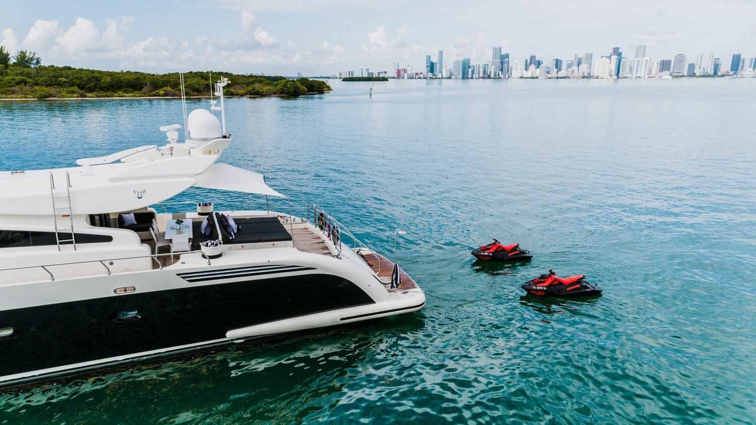 Leopard 101 | Venture