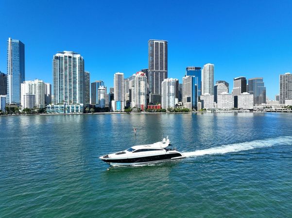 Leopard 101 | Venture